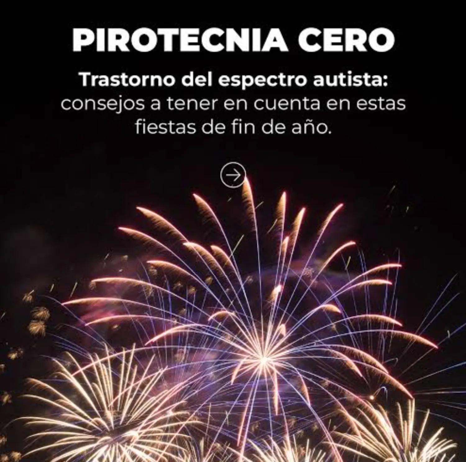 No a las bombas en año nuevo